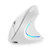 Wireless Vertical Gaming Mouse - Gadgetmanic.com